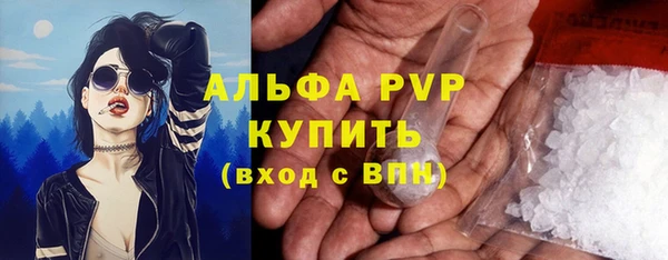 гашик Мегион