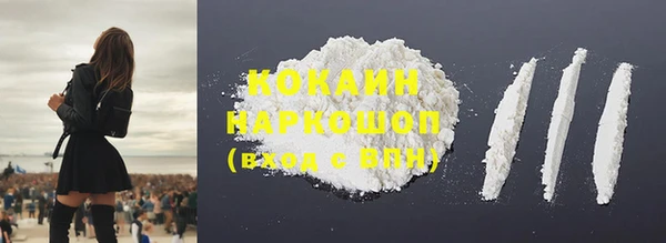 гашик Мегион