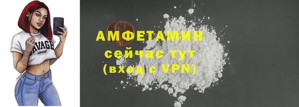 гашик Мегион
