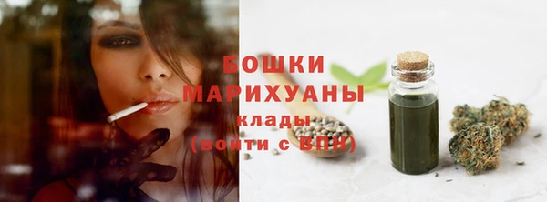 гашик Мегион