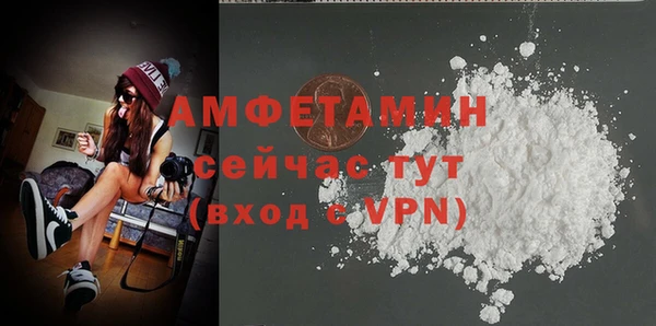 гашик Мегион