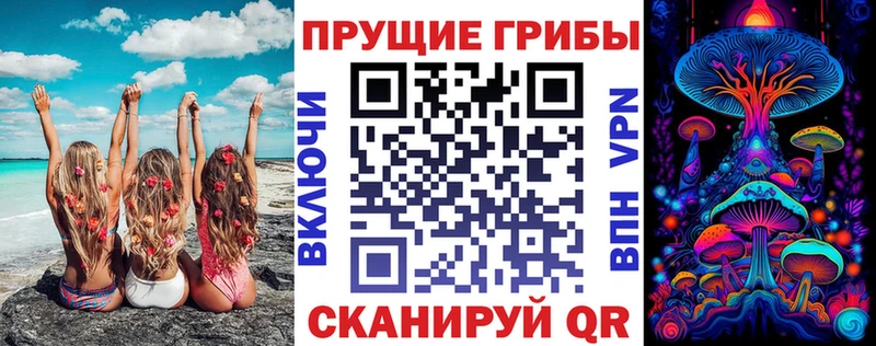 мега онион  Подпорожье  Галлюциногенные грибы Psilocybe 